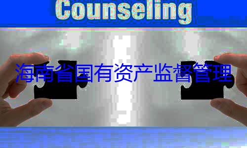 理委员会党海南省国有委副书记王有福接受审查调查资产监督管